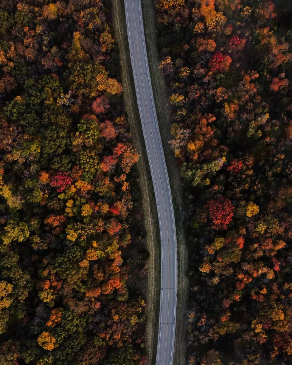attachment-austin-goode-Nslkhpfmi2g-unsplash