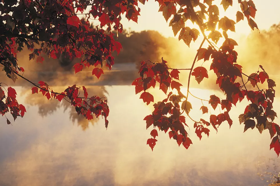 7 Great Places to Enjoy Fall Foliage in the Tri-State
